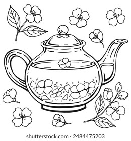 Glass teapot, jasmine. Hand drawn vector illustration in outline style.