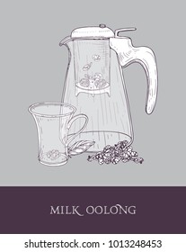 Glass teapot or pitcher with strainer, transparent cup of milk oolong and rolled tea leaves hand drawn in vintage style. Tasty natural Chinese beverage. Monochrome vector illustration for label, tag.
