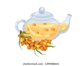 Glass teapot with sea-buckthorn tea. Vector illustration on white background.