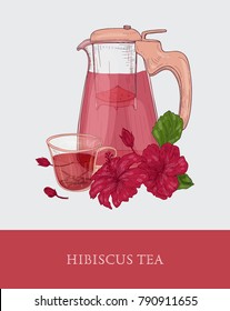 Glass teapot with strainer, cup of red hibiscus tea and roselle flowers and leaves hand drawn on gray background. Delicious and healthy aromatic herbal drink. Colorful vector illustration for promo.