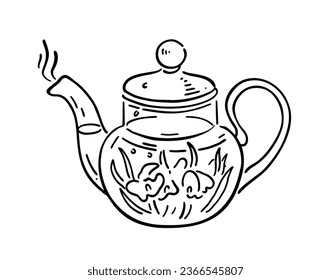 Glass teapot with tea and herbs. Vector illustration in doodle style