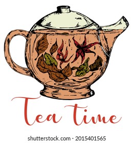 Glass teapot with tea leaves and hibiscus flowers. Vector stock illustration. Sketch. Hand drawing. Isolated on white background.