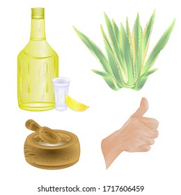 Glass of tequila with salt and lime Cactus agave and o.k.human hand design element for label and poster  on white background watercolor vintage vector editable hand drawn 