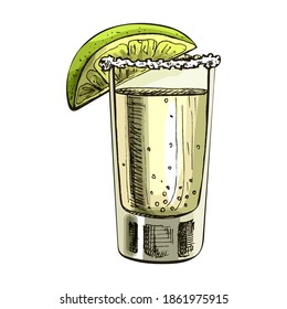 Glass tequila with slice lime. Vector vintage hatching