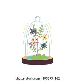 Glass Terrarium with Butterflies. Glass jar flask with flying insects. Vector modern illustration