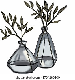 Glass vases with green branches and leaves. Plant in a glass vase. Vector isolated image. Possible increase to any size. Can be used for paintings, wallpapers, wall panels.