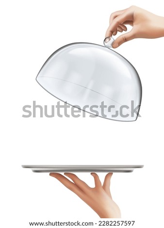 Glass Waiter Tray Platter Holding By Womans Hand Isolated On White Background. EPS10 Vector
