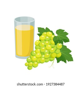 Glass of white grape juice. Grape product, vector illustration isolated on white background.