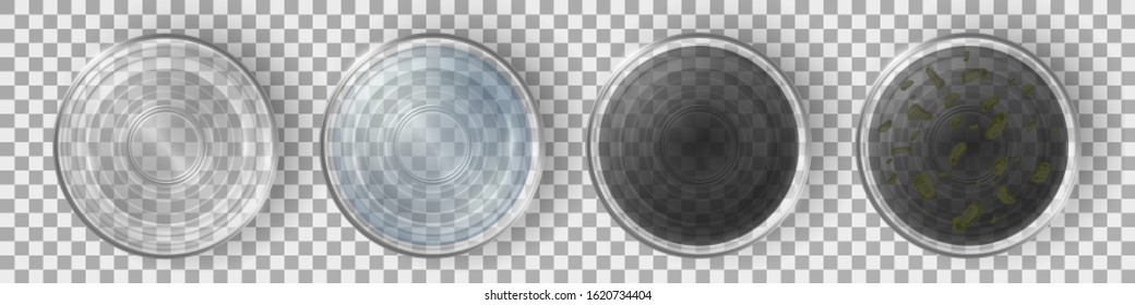 Glasses with clean and dirty water top view set. Filtered and contaminated liquid with bacteria and microbes isolated on transparent background, pollution. Realistic 3d vector illustration, clip art