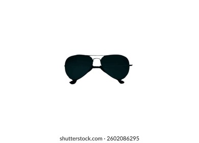 Glasses vector icon Sunglasses Set Glasses Icons Isolated Collection