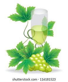 glasses of white wine on a background of green grapes