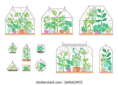 Glasshouses and terrariums in linear style filled house plants. Indoor garden related images isolated on white background.