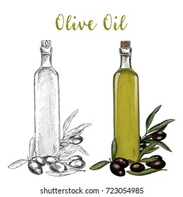 Glassware bottle with oil liquid and branch with olive berries and leaves. Sketch of vegetarian or veggie, vegan product in bottle with cork. Organic and natural, healthy food, garden, nutrition theme