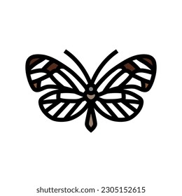 glasswing butterfly spring color icon vector. glasswing butterfly spring sign. isolated symbol illustration