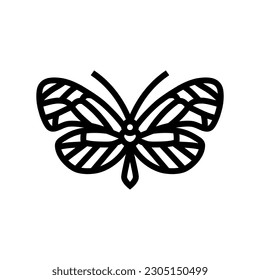 glasswing butterfly spring line icon vector. glasswing butterfly spring sign. isolated contour symbol black illustration