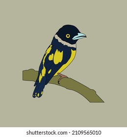 a glatic bird is perched on a branch