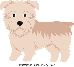 The Glen of Imaal Terrier is a breed of dog of the terrier category. originally used for eradicating other animals such as rat, fox, badger, and otter, and also as a general-purpose farm dog.