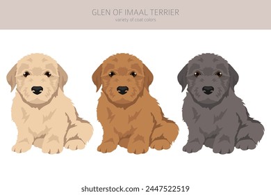 Glen of Imaal terrier puppy clipart. Different poses, coat colors set.  Vector illustration