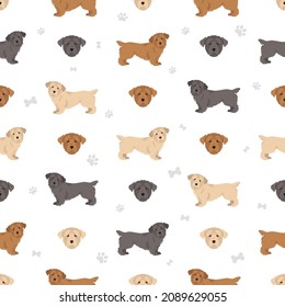 Glen of Imaal terrier seamless pattern. Different poses, coat colors set.  Vector illustration