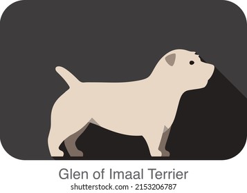 Glen of imaal terrier standing and watching  flat icon design
