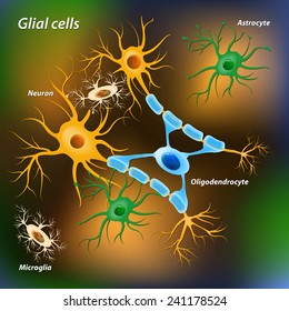 glial cells on the color background. Medical and science illustration