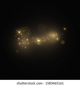  Glitter effect of particles.  Vector sparkles on a transparent background. Christmas light effect. Sparkling magical dust particles.The dust sparks and golden stars shine with special light.