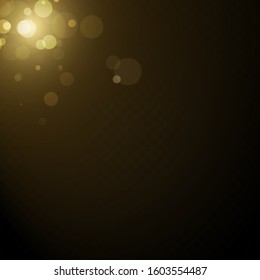  Glitter effect of particles.  Vector sparkles on a transparent background. Christmas light effect. Sparkling magical dust particles.The dust sparks and golden stars shine with special light.