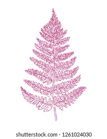 Glitter Fern. Hand Drawn. Vector