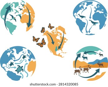 Global animal migration patterns illustration with world maps migration butterflies reindeer wildlife patterns illustration environment geography movement graphics continents conservation