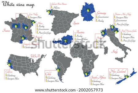 Global White Wine Map: Principal Production Areas and Varieties