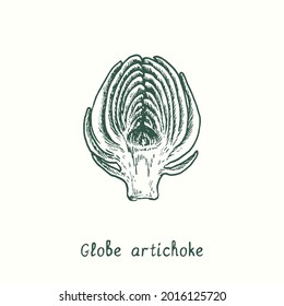 Globe Artichoke Cut Half Bud. Ink Black And White Doodle Drawing In Woodcut Style.