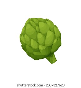 Globe artichoke or green thistle isolated vegetarian food. Vector cynara cardunculus flower bud, healthy veggie greens. Realistic fresh french artichoke head, salad ingredient. Edible globe artichoke