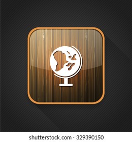 globe earth icon