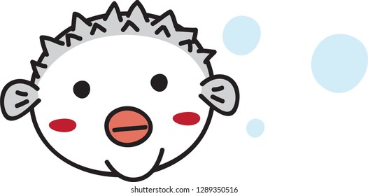 globe fish is swimming 