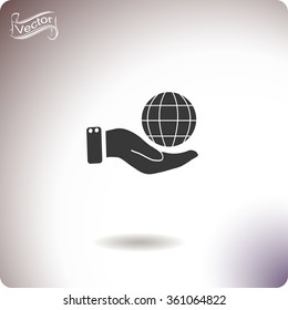 Globe icon.