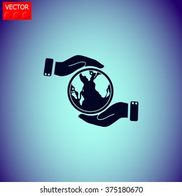 Globe icon.