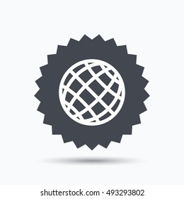 Globe icon. World or internet sign.