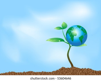 globe on the plant