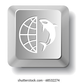 Globe and shamoo. Vector computer key.