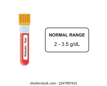 Globulin Blood Test Concept Design. Vector Illustration.