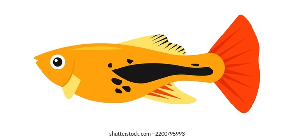 Glofish Aquarium Fish. Vector Illustration