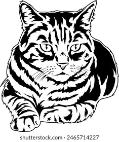 Gloomy cat. Vector outline illustration without background