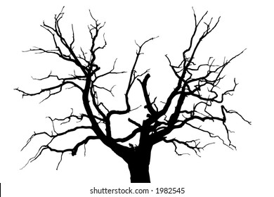 A gloomy dead oak tree