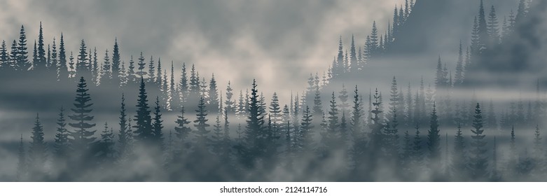 Gloomy foggy morning in the mountains, dense forest, panoramic view