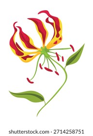 Flor de Gloriosa. Clipart de Vector plano, ilustración con fondo aislado.