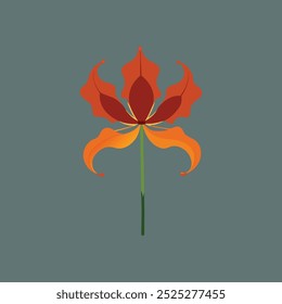 Gloriosa flower vector art illustration