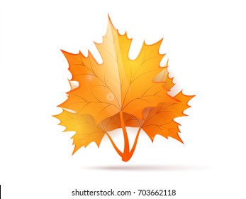 Glossy Autumn Leaf on White Background.