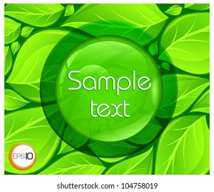 Glossy button on nature background with fresh green leaves & text, vector illustration