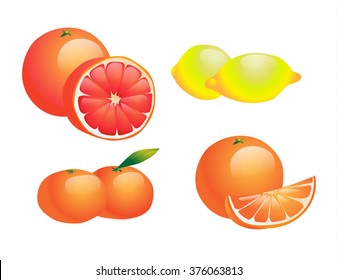 Glossy citrus fruit set