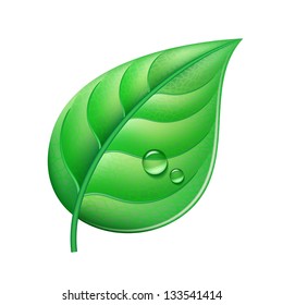 Glossy green leaf with drops of water.  Vector illustration